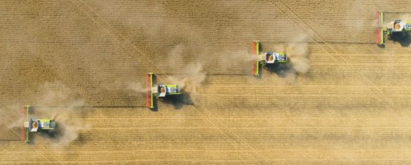 EDG Australia Grain Capabilities