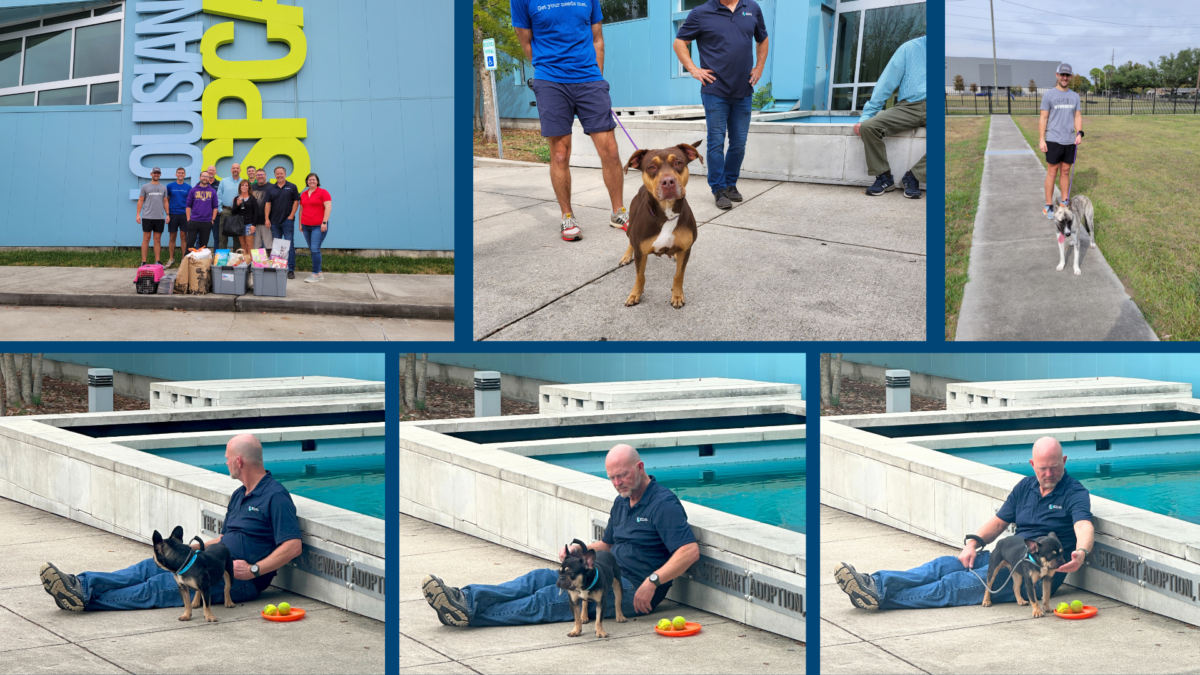 EDG Metairie 2023 LASPCA Volunteer Event -1