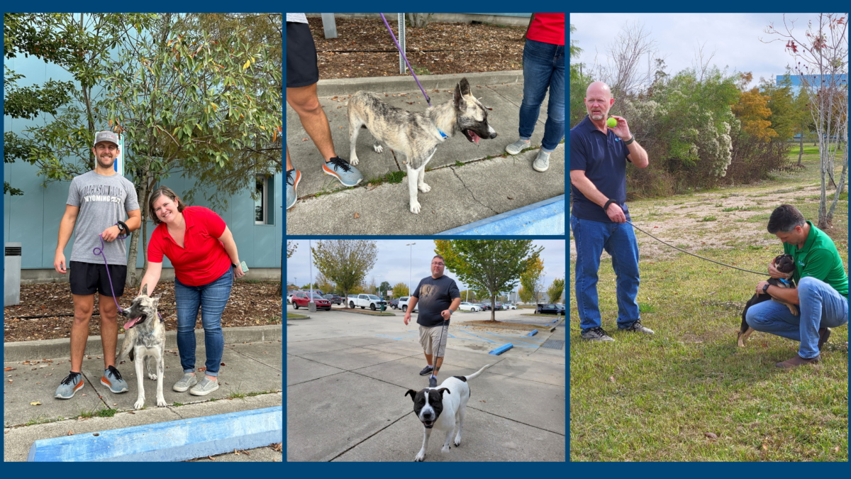 EDG Metairie 2023 LASPCA Volunteer Event - 3